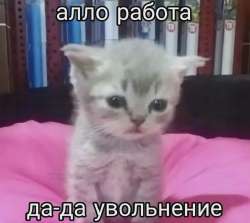 e0579ee6a30ea2c494e7a3b4b2419f7c.webp