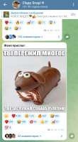 Screenshot20250827214402Telegram.jpg