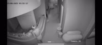 VID20250830120657964.mp4
