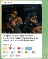 Screenshot20250830165953Telegram.jpg