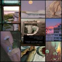summercollage.jpg