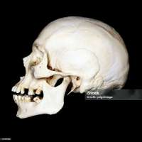 istockphoto-177097858-1024x1024.jpg