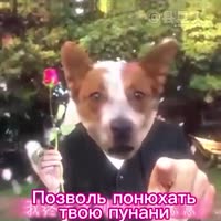 6fe3df6f21ad75f22486b2fe614072724990821754473247.mp4