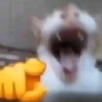 1757163962481.png