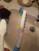IMG5821.jpeg