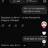 5FFBE54E-BA8E-4928-9A60-690E873019F7.jpeg