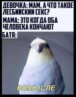 17648845816033.jpg