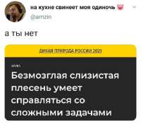 17648792329670.jpg