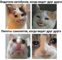 17648953890693.jpg