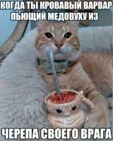 G7Y8KSRWUAAGUKt.jfif