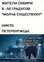 G7lEcyMaQAAAVup.jfif