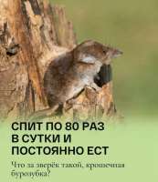 pWCEZvrAnNer4H8tWpYGw0P85v1AMmQwX-o18CXGe6jqAiHYk-pCRcQY0knSOdF6uH2vZWpqjJo5yydAUnxX9z-.jpg
