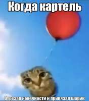 G71Bb18XAAAEAJV.jfif
