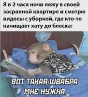 fgAjbem6o.jpg