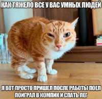 G9WIFVxXIAAUb67.jfif