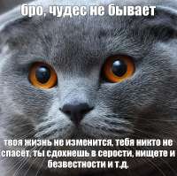 3f03f6e16b1fb8486ccc671927232129.jpg