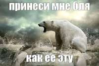 G9rSiI4WAAAp4PZ.jfif