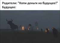 17676479046293.jpg