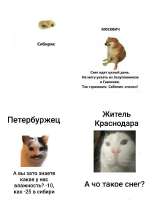 G-Syyz5XIAAojnE.jfif