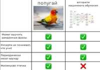 G-iY8IhXEAEIZBR.jfif