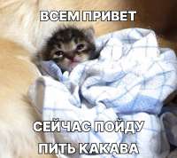 cd755d1c0ad312b0031ae106c652d787.jpg
