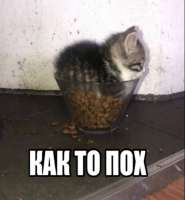 0c1daae221087cffff9443e66a314d64.jpg
