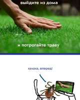 SaveClip.App6714994989947727030853687616055640954323180n.jpg