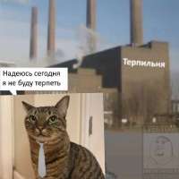 HMiVqdxWsAA15dp.jfif