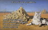HRbcd9uaoAAJyqa.jfif