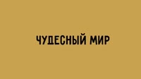 Добро пожаловать в чудесный мир.mp4