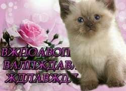 01d6581e56b4bbaf2a17c206794f149f.jpg