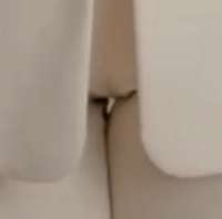 89798978.jpg