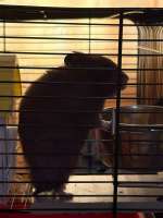 IMG1542.jpeg
