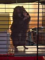 IMG1543.jpeg