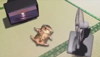 0.mp4