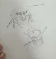 IMG6242.jpeg
