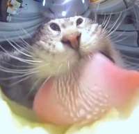 IMG6896.png