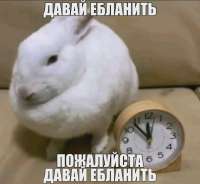 potassium17012026-06-02-14-29-401780399780785.png