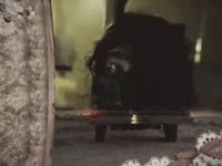 ssstik.io@robzombie06gg1786957967554.mp4