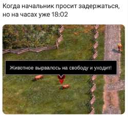 изображение.png