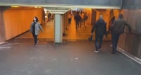 19652425550432.mp4