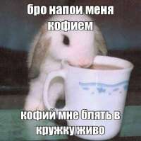 IMG20260618212456240.jpg