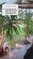 lilithlindlaylay2026-07-11-02-36-311783726591364.mp4