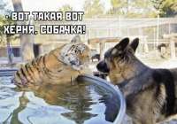 B4A772C2-577C-4041-8ED7-00A22CC4FD5Ba5006d9313ae4445.md.jpg