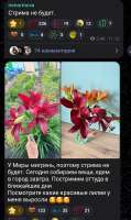 Screenshot20260717213121Telegram.jpg