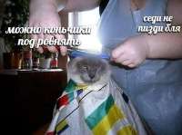 9pZKYAkidUxQwrtL8lhVSbN2yJNdVvMTdZhyjNcjhu8F39Qjtrn80pFIScFWPA4ugnioJdberCYeF6dfg6dGVlq.jpg