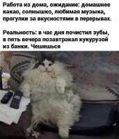 HO5pfCAWQAAVbZ8.jfif