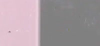 -video-.mp4