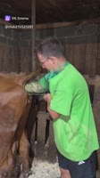 clip215521251456240751.mp4