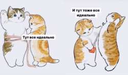 IMG8151.jpeg